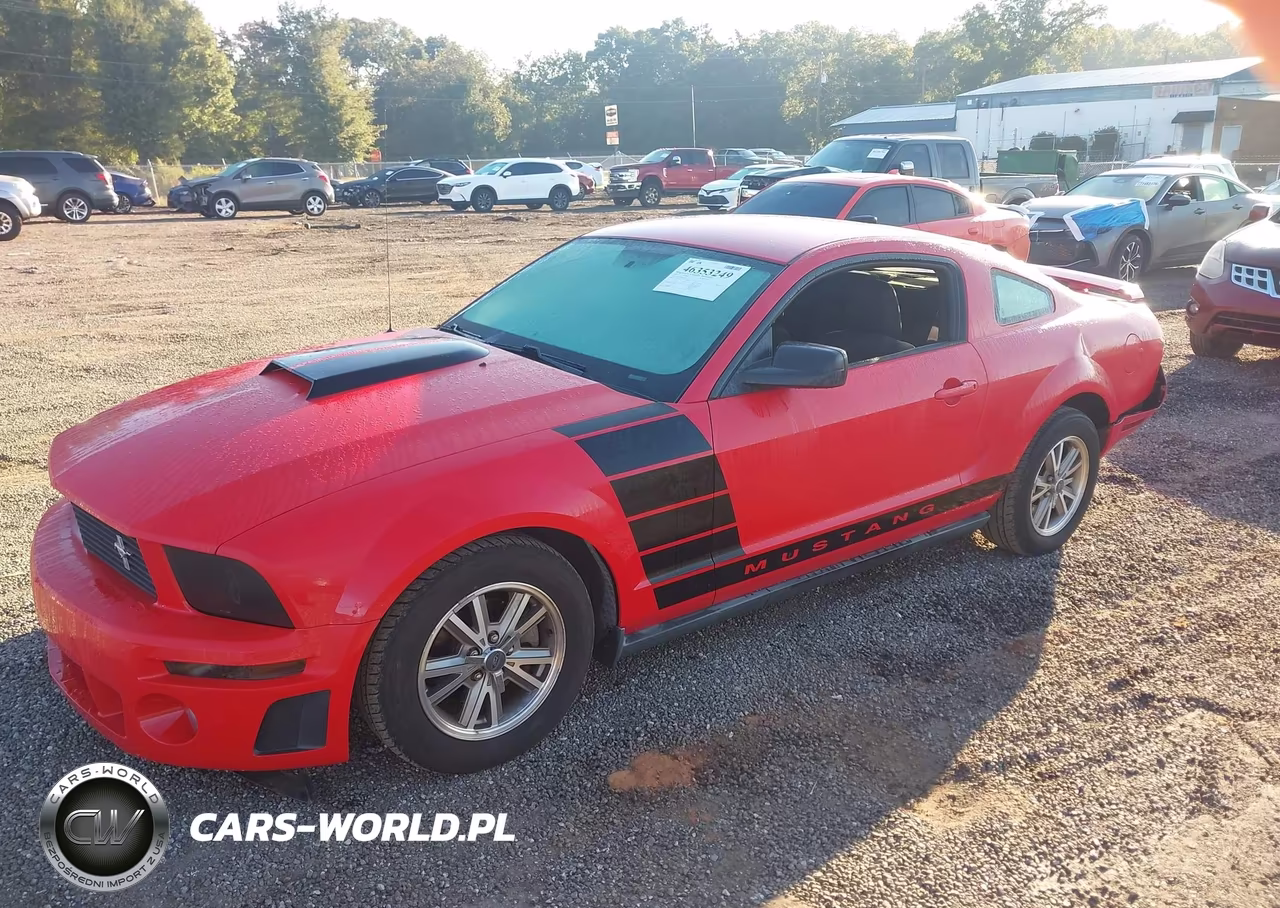 2005 Ford Mustang V6 Deluxe-V6 Premium VIN:1ZVFT80N055143856 - 2