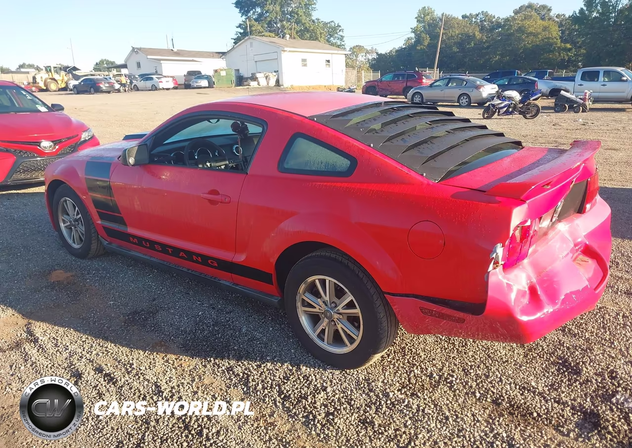 2005 Ford Mustang V6 Deluxe-V6 Premium VIN:1ZVFT80N055143856 - 3
