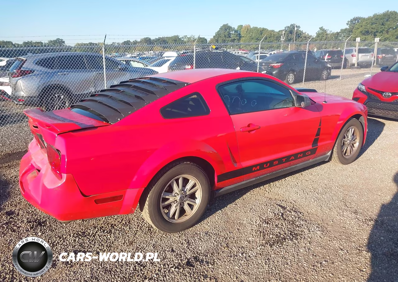 2005 Ford Mustang V6 Deluxe-V6 Premium VIN:1ZVFT80N055143856 - 4