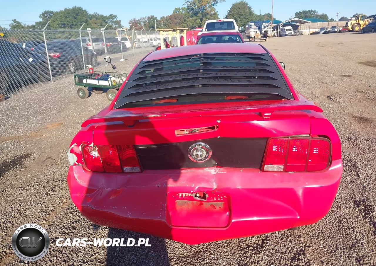 2005 Ford Mustang V6 Deluxe-V6 Premium VIN:1ZVFT80N055143856 - 6