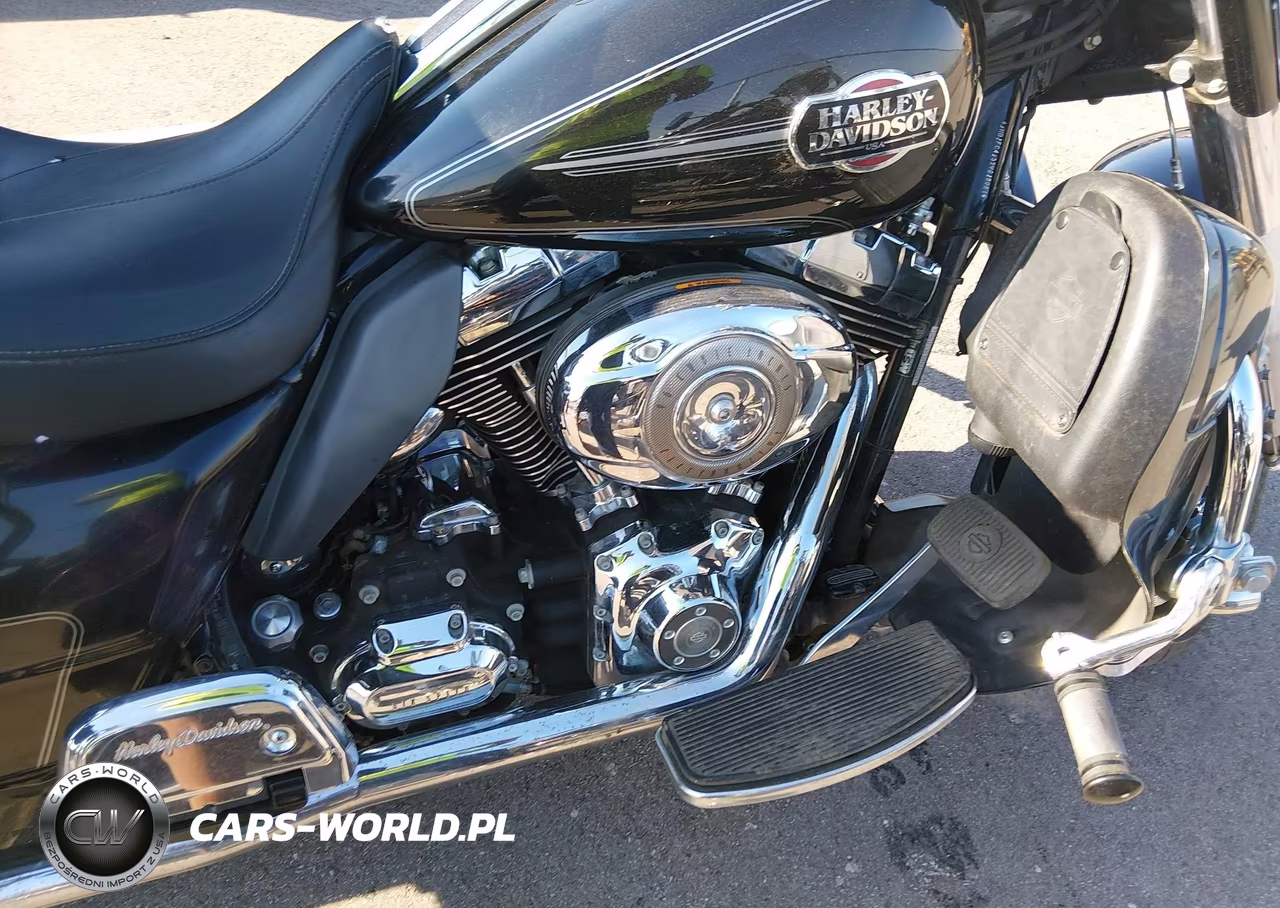 2009 Harley Davidson Slt VIN:1HD1FC4139Y612021 - 10