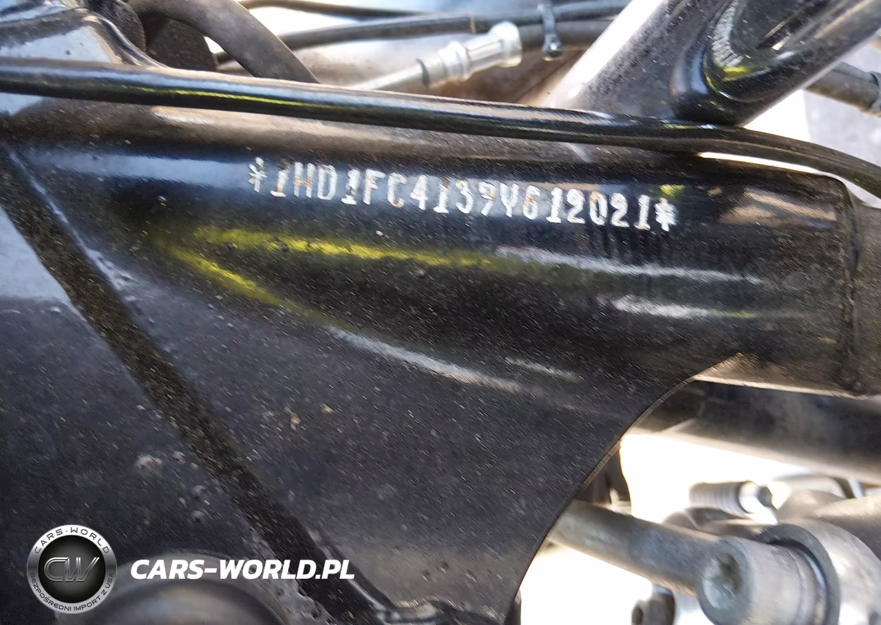 2009 Harley Davidson Slt VIN:1HD1FC4139Y612021 - 9