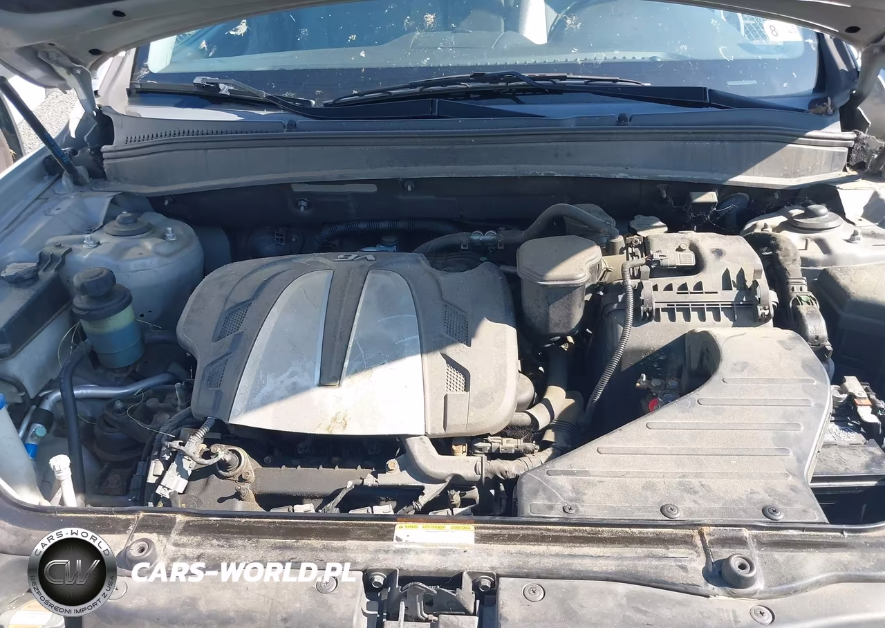 2010 Hyundai Santa Fe Se VIN:5NMSHDAG5AH333445 - 10