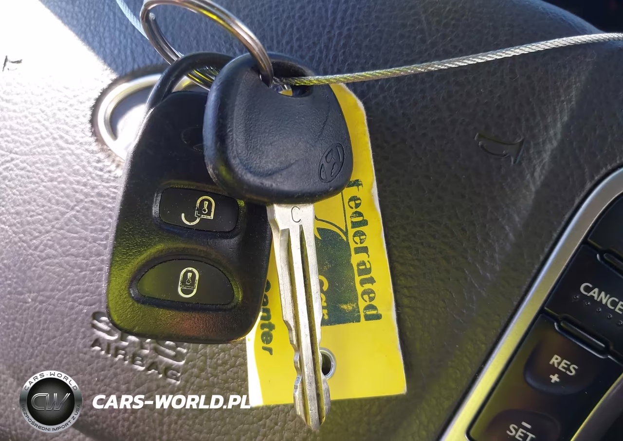 2010 Hyundai Santa Fe Se VIN:5NMSHDAG5AH333445 - 11