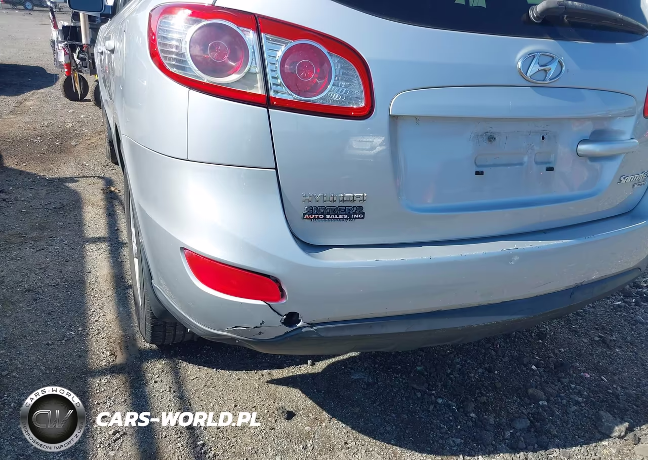 2010 Hyundai Santa Fe Se VIN:5NMSHDAG5AH333445 - 12