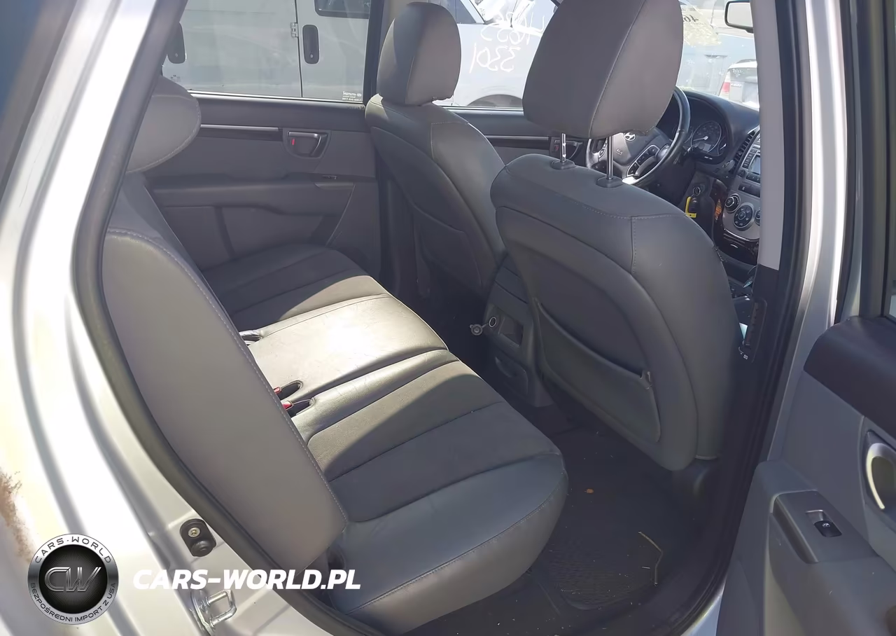 2010 Hyundai Santa Fe Se VIN:5NMSHDAG5AH333445 - 8