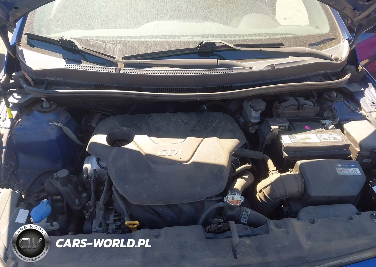 2016 Hyundai Accent Se VIN:KMHCT4AE2GU983445 - 10