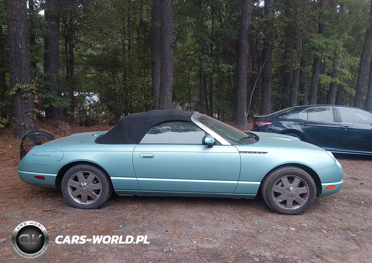2002 Ford Thunderbird VIN:1FAHP60AX2Y124037 - 13