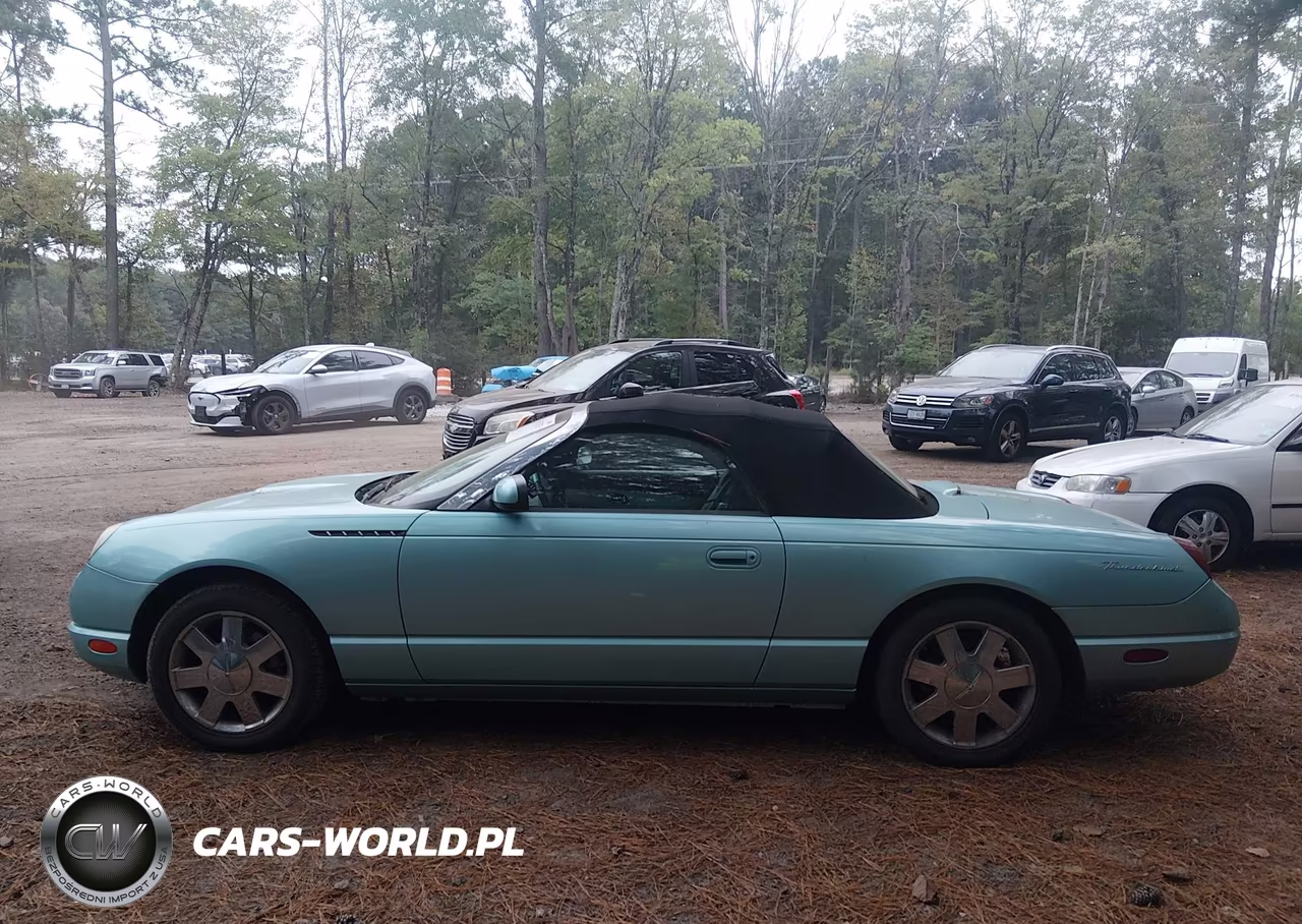 2002 Ford Thunderbird VIN:1FAHP60AX2Y124037 - 14