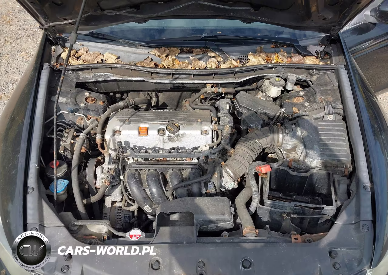 2011 Honda Accord 2.4 Lx VIN:1HGCP2E39BA046500 - 10