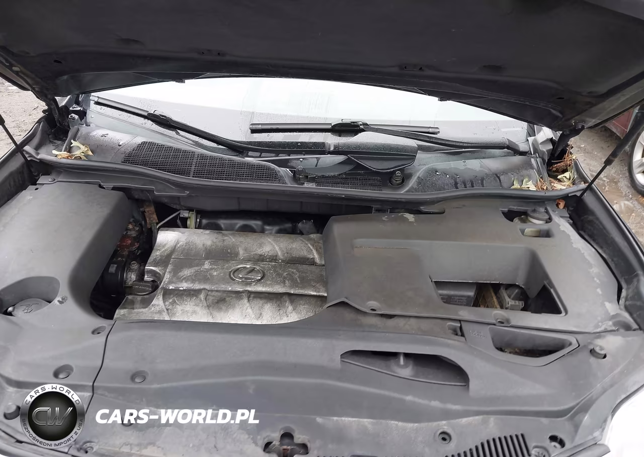 2010 Lexus Rx 350 VIN:2T2BK1BA5AC015207 - 10