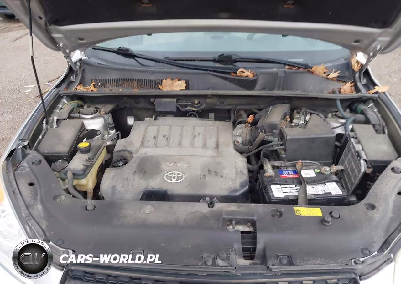 2009 Toyota Rav4 Base V6 VIN:JTMBK33V59D006488 - 10
