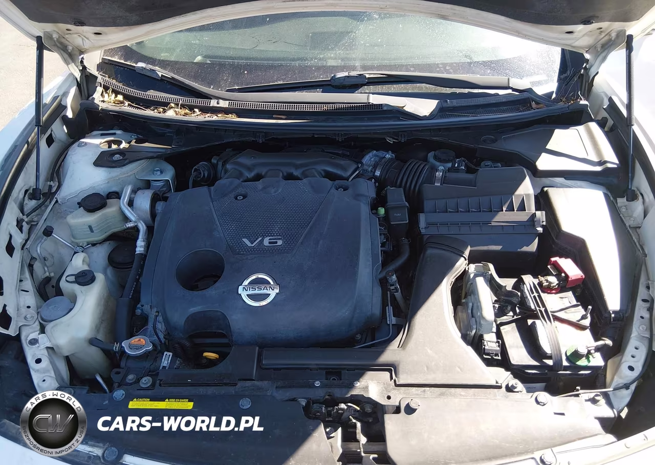 2009 Nissan Maxima 3.5 Sv VIN:1N4AA51E99C853684 - 10