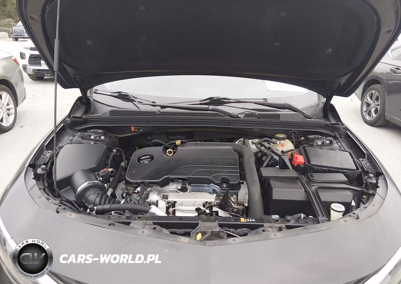 2019 Chevrolet Malibu Lt VIN:1G1ZD5ST7KF162460 - 10