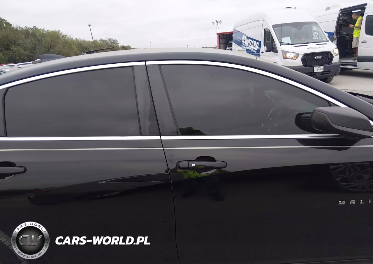 2019 Chevrolet Malibu Lt VIN:1G1ZD5ST7KF162460 - 13