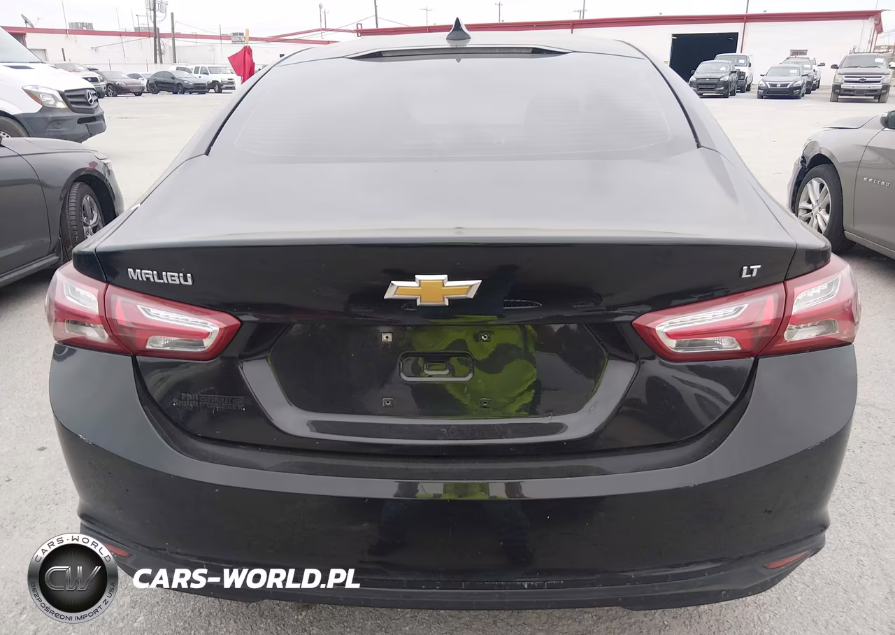 2019 Chevrolet Malibu Lt VIN:1G1ZD5ST7KF162460 - 16
