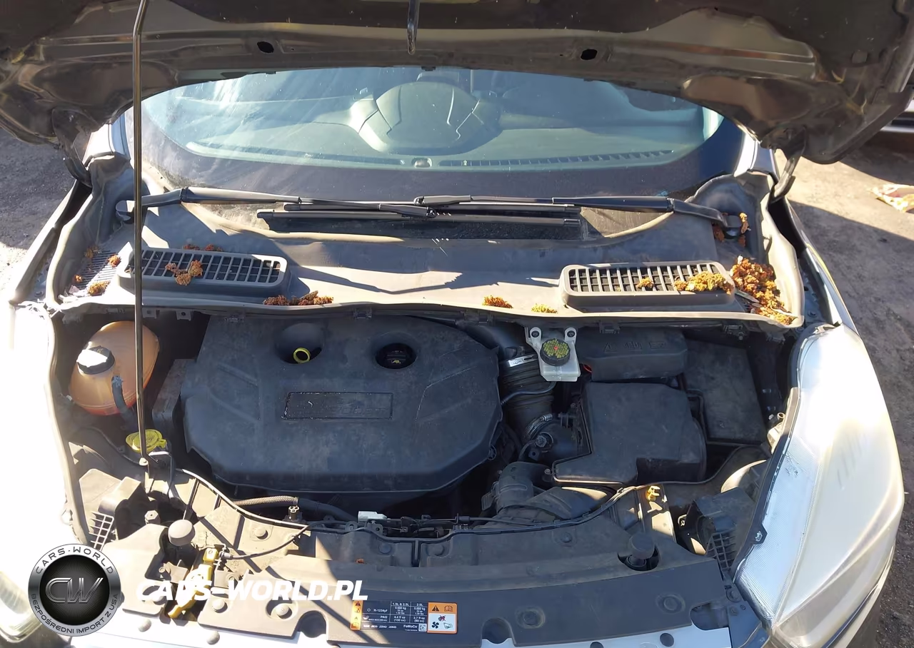 2017 Ford Escape Se VIN:1FMCU9G95HUA32775 - 10