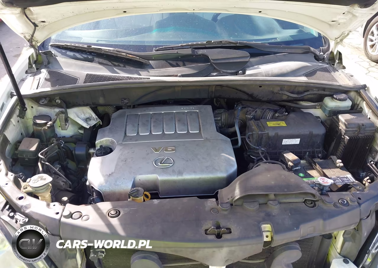 2007 Lexus Rx 350 VIN:JTJGK31U770009460 - 10