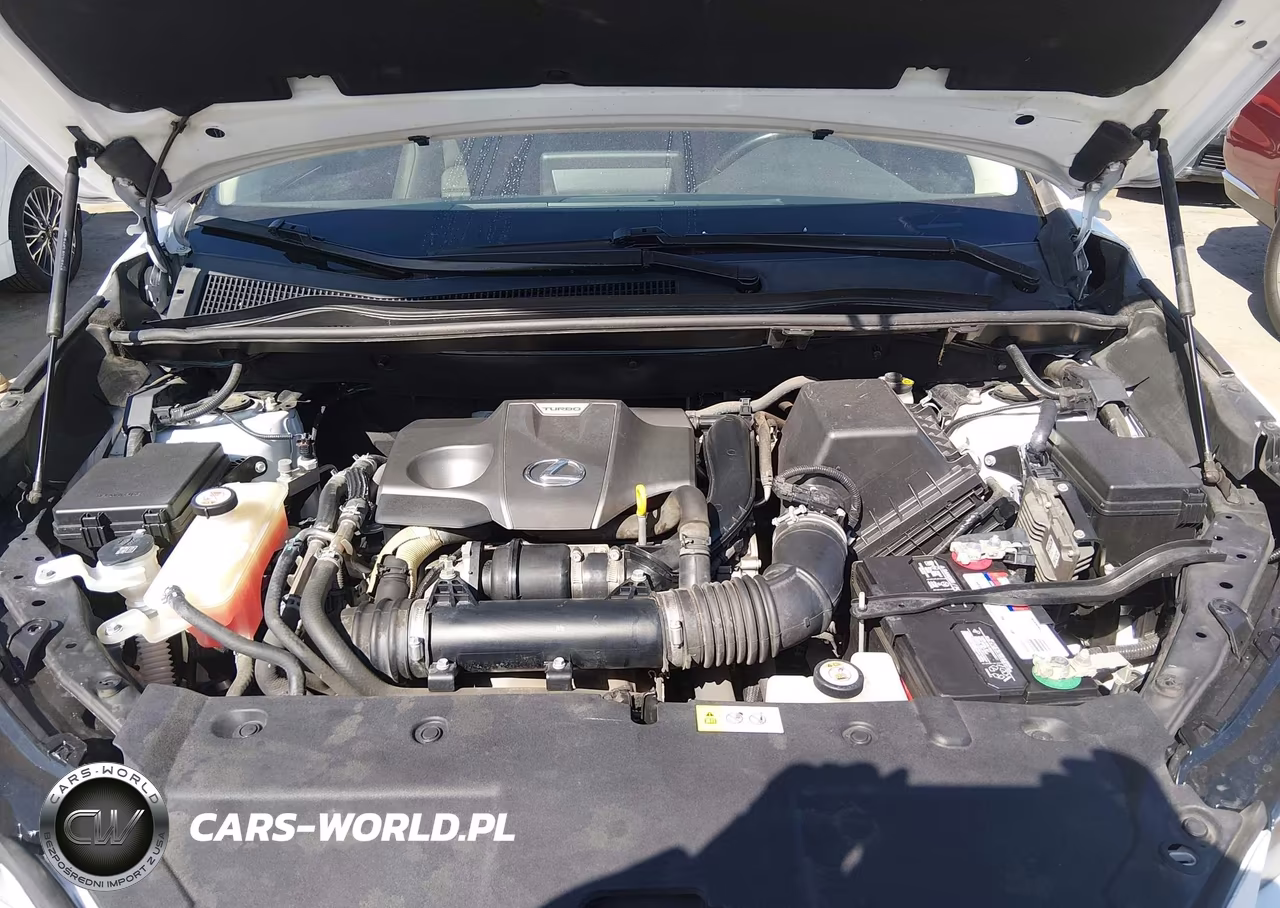 2019 Lexus Nx 300 Base VIN:JTJYARBZ1K2124475 - 10