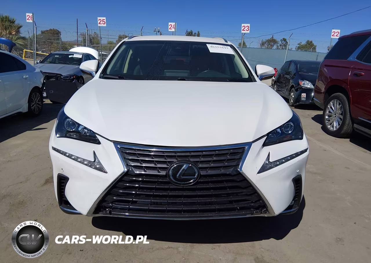 2019 Lexus Nx 300 Base VIN:JTJYARBZ1K2124475 - 12