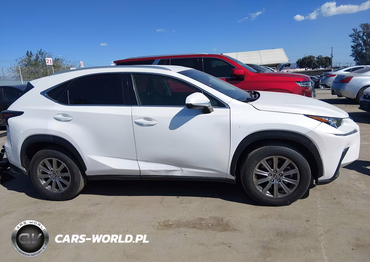 2019 Lexus Nx 300 Base VIN:JTJYARBZ1K2124475 - 13