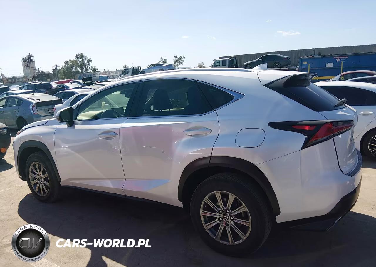 2019 Lexus Nx 300 Base VIN:JTJYARBZ1K2124475 - 14