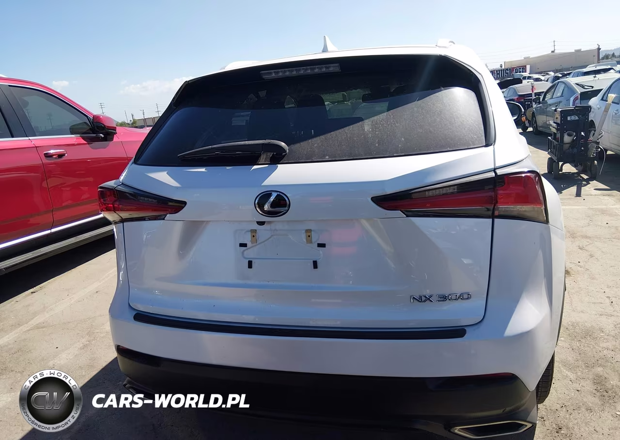 2019 Lexus Nx 300 Base VIN:JTJYARBZ1K2124475 - 16