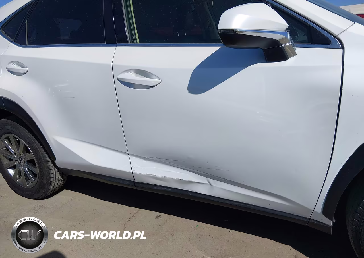 2019 Lexus Nx 300 Base VIN:JTJYARBZ1K2124475 - 17