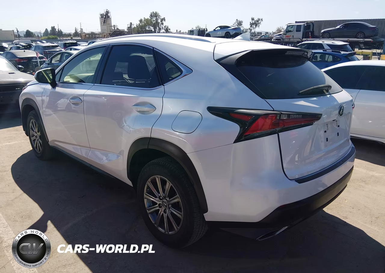 2019 Lexus Nx 300 Base VIN:JTJYARBZ1K2124475 - 3