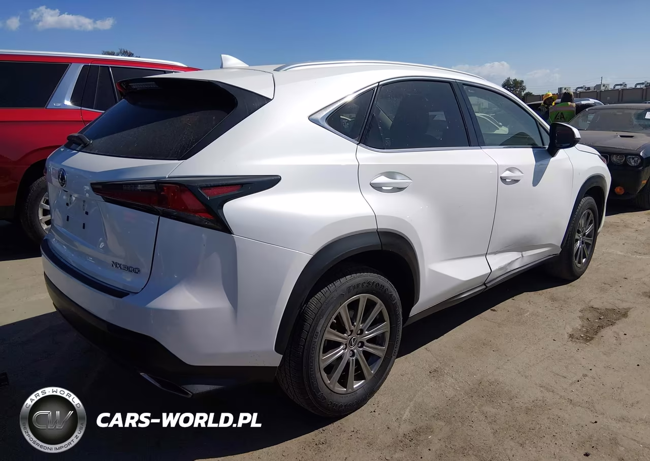2019 Lexus Nx 300 Base VIN:JTJYARBZ1K2124475 - 4