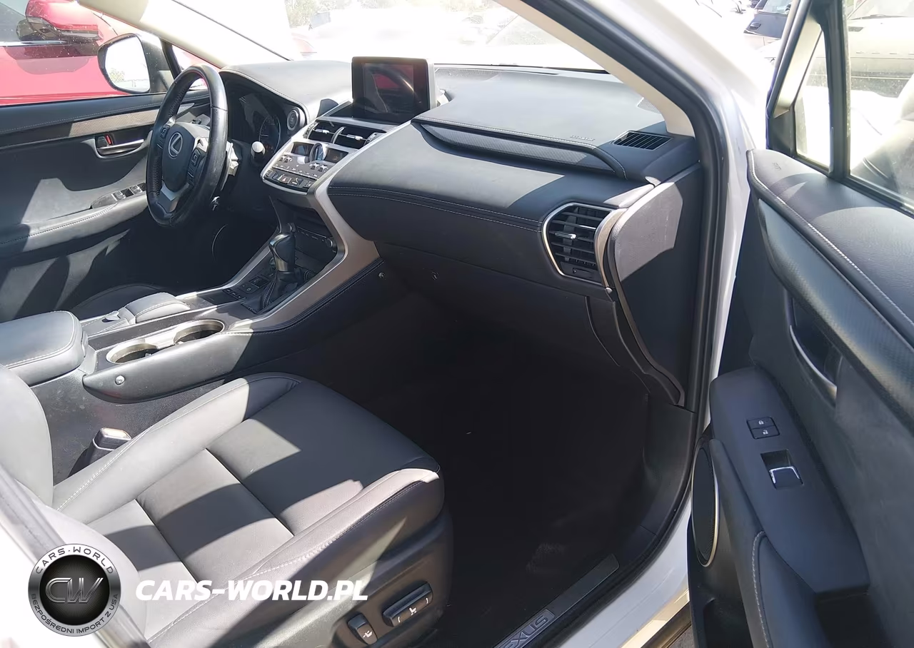 2019 Lexus Nx 300 Base VIN:JTJYARBZ1K2124475 - 5