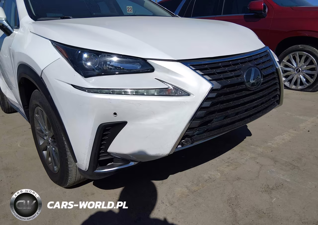 2019 Lexus Nx 300 Base VIN:JTJYARBZ1K2124475 - 6