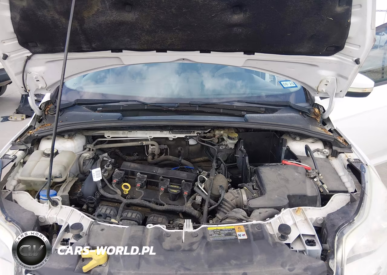 2013 Ford Focus Se VIN:1FADP3F29DL106934 - 10