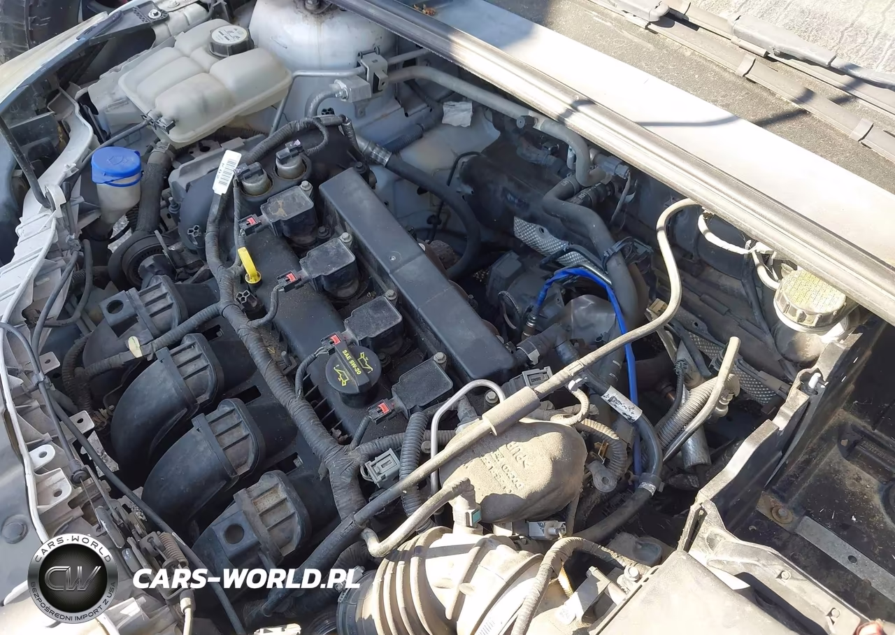 2013 Ford Focus Se VIN:1FADP3F29DL106934 - 13