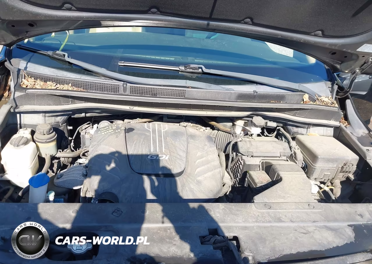 2017 Kia Sedona Lx VIN:KNDMB5C13H6313940 - 10