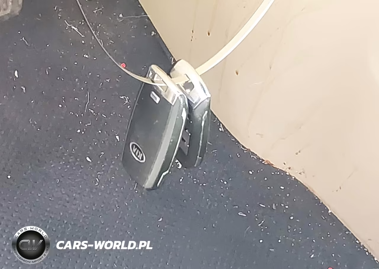 2017 Kia Sedona Lx VIN:KNDMB5C13H6313940 - 11
