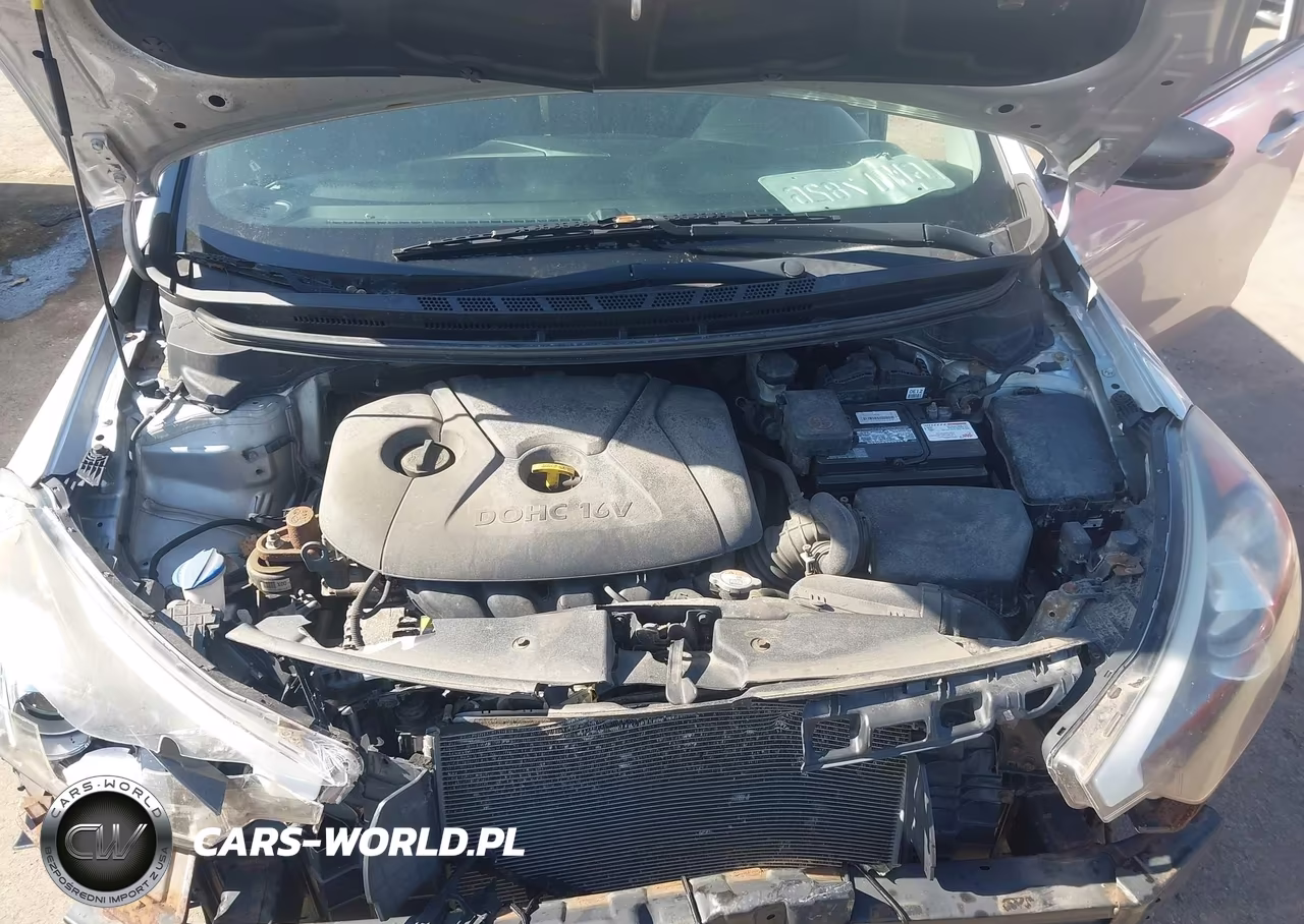 2016 Kia Forte Lx VIN:KNAFK4A69G5520058 - 10