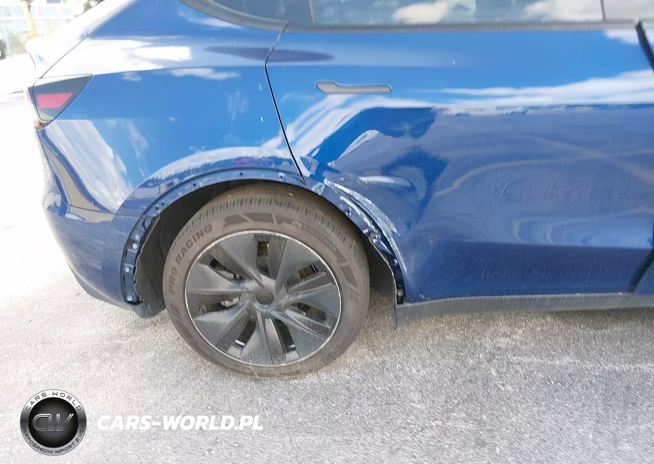 2025 Tesla Model Y Long Range Dual Motor Rear-Wheel Drive VIN:7SAYGDED6SA378815 - 21
