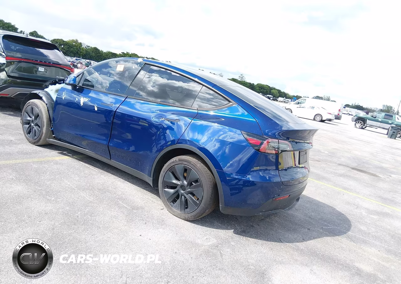 2025 Tesla Model Y Long Range Dual Motor Rear-Wheel Drive VIN:7SAYGDED6SA378815 - 3
