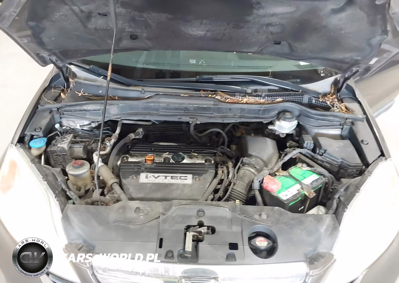 2009 Honda Cr-V Ex-L VIN:5J6RE48749L031601 - 10