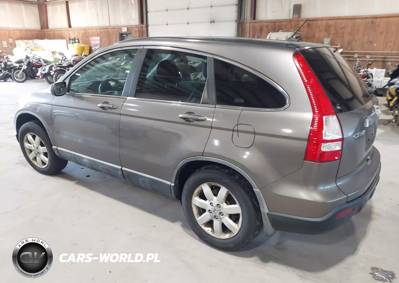 2009 Honda Cr-V Ex-L VIN:5J6RE48749L031601 - 3