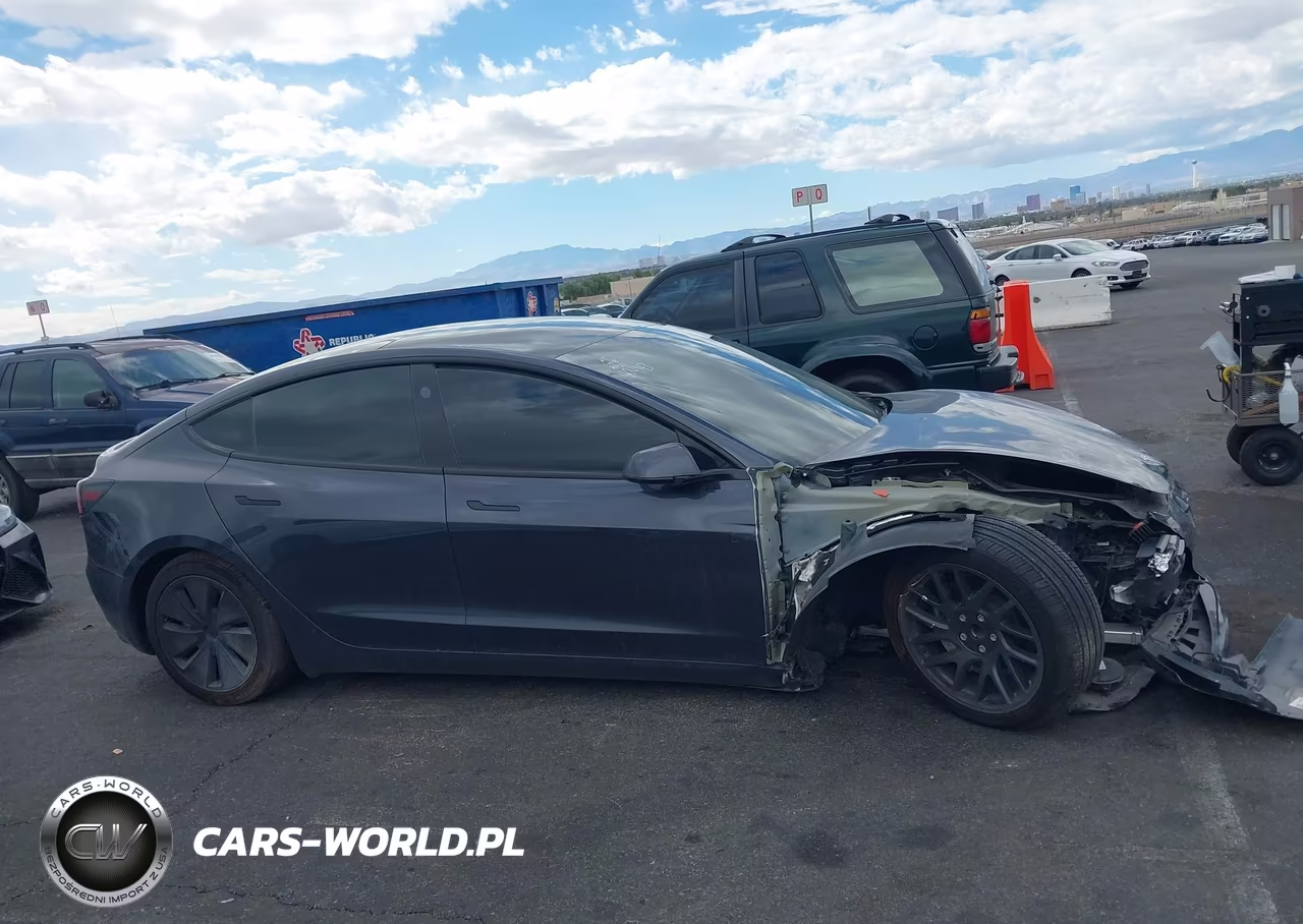 2025 Tesla Model 3 Long Range Rear-Wheel Drive-Standard Rear-Wheel Drive VIN:5YJ3E1EA9SF033816 - 13