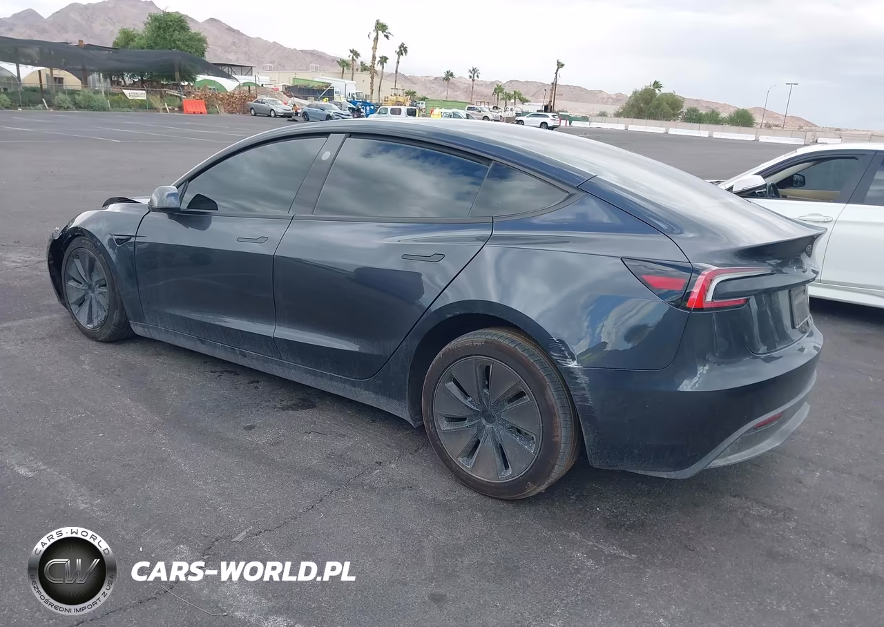 2025 Tesla Model 3 Long Range Rear-Wheel Drive-Standard Rear-Wheel Drive VIN:5YJ3E1EA9SF033816 - 3