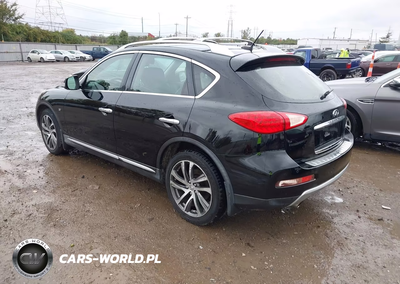 2017 Infiniti Qx50 VIN:JN1BJ0RR9HM405708 - 3