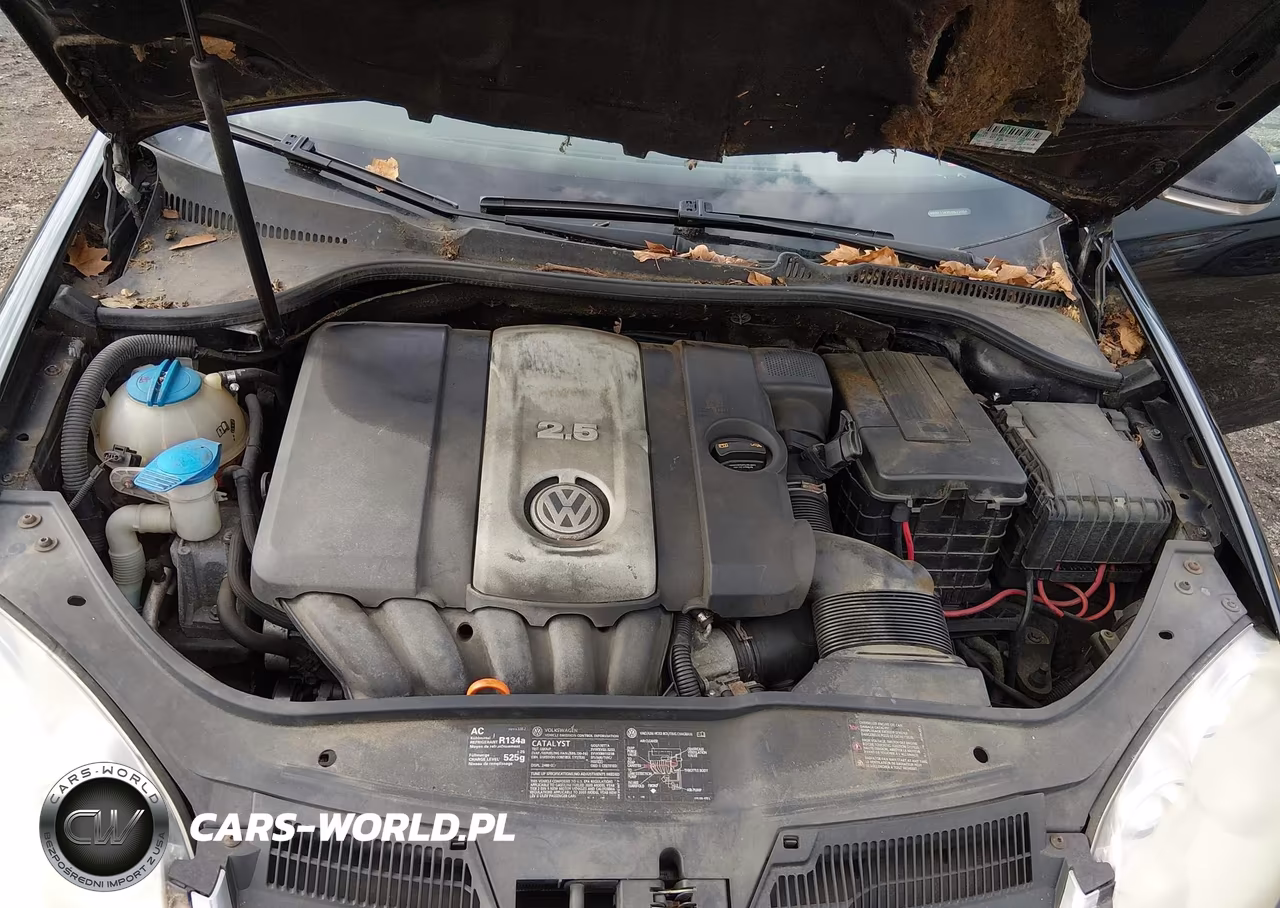 2005 Volkswagen Jetta 2.5 VIN:3VWRF71K35M627064 - 10