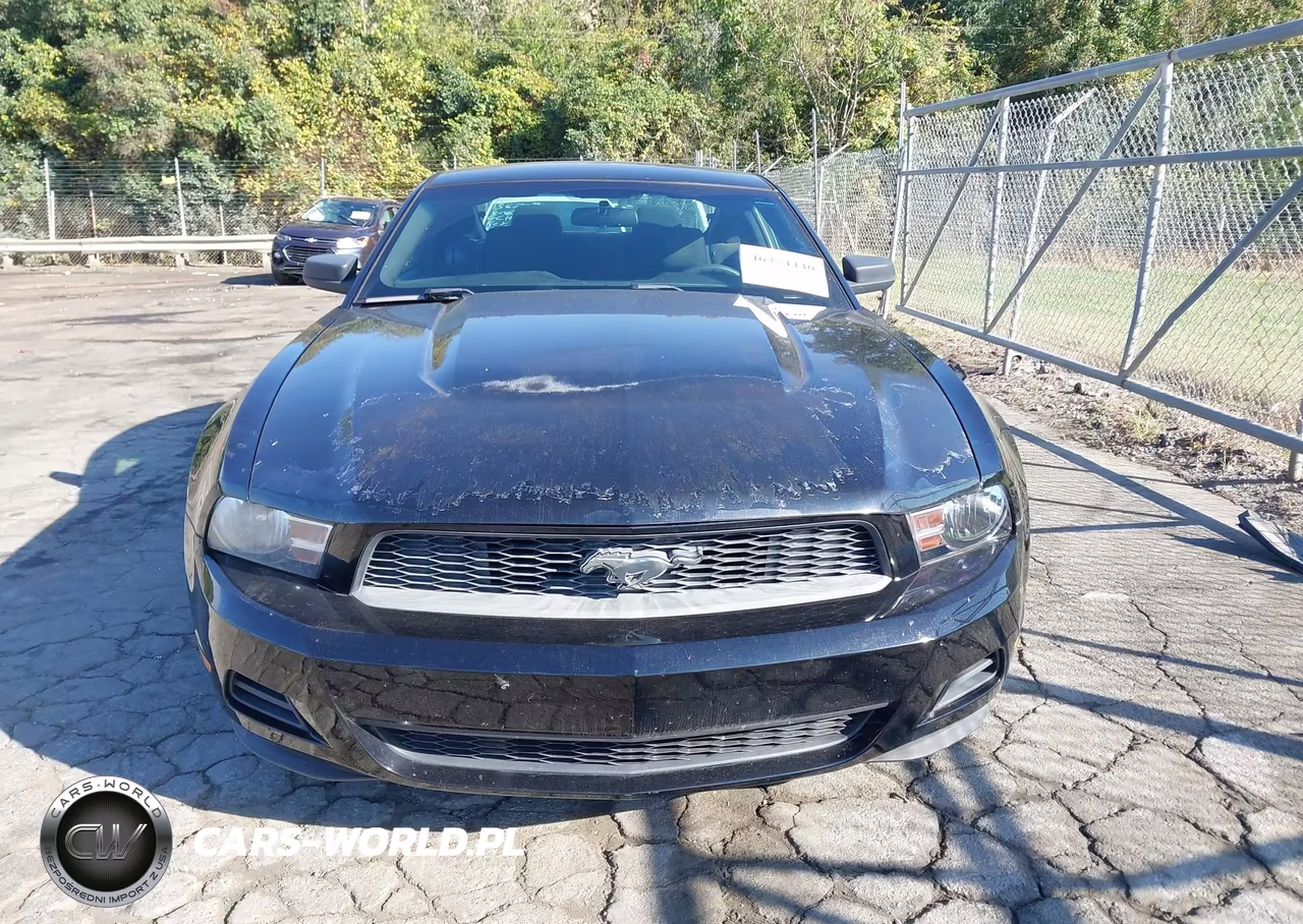 2011 Ford Mustang V6 VIN:1ZVBP8AM6B5134972 - 12