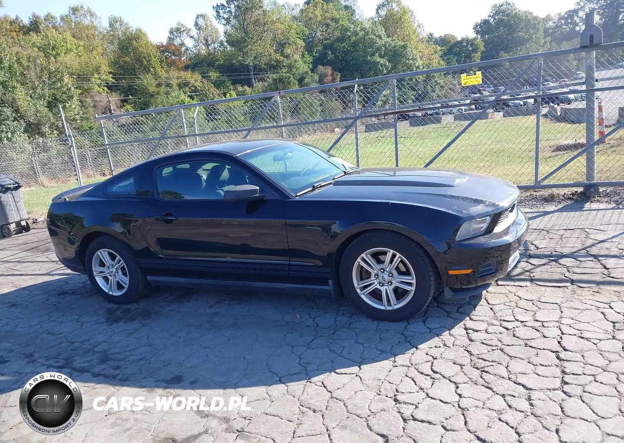 2011 Ford Mustang V6 VIN:1ZVBP8AM6B5134972 - 13