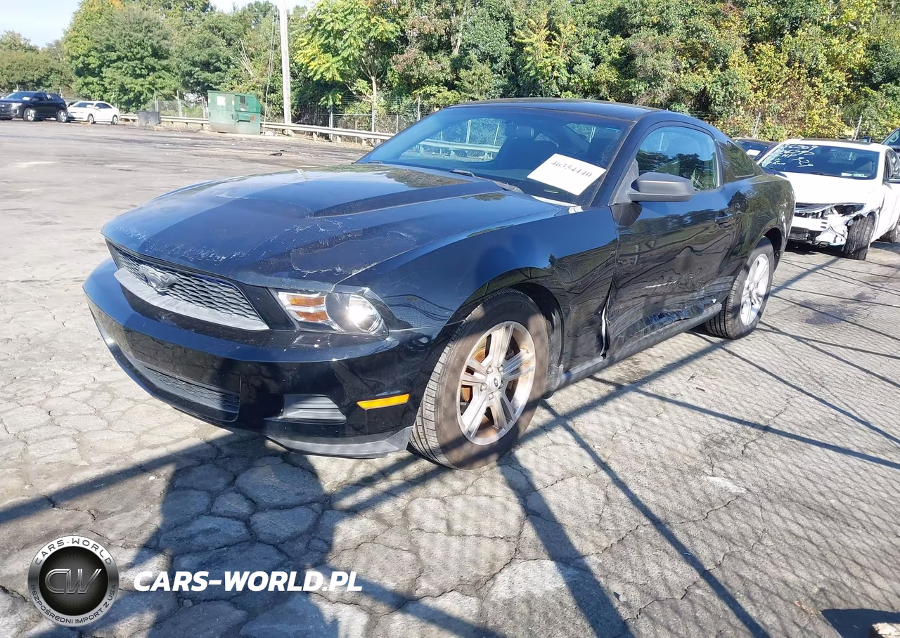 2011 Ford Mustang V6 VIN:1ZVBP8AM6B5134972 - 2