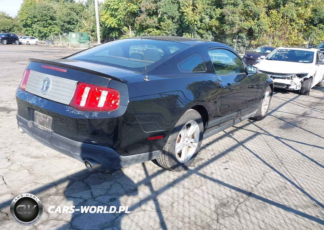 2011 Ford Mustang V6 VIN:1ZVBP8AM6B5134972 - 4