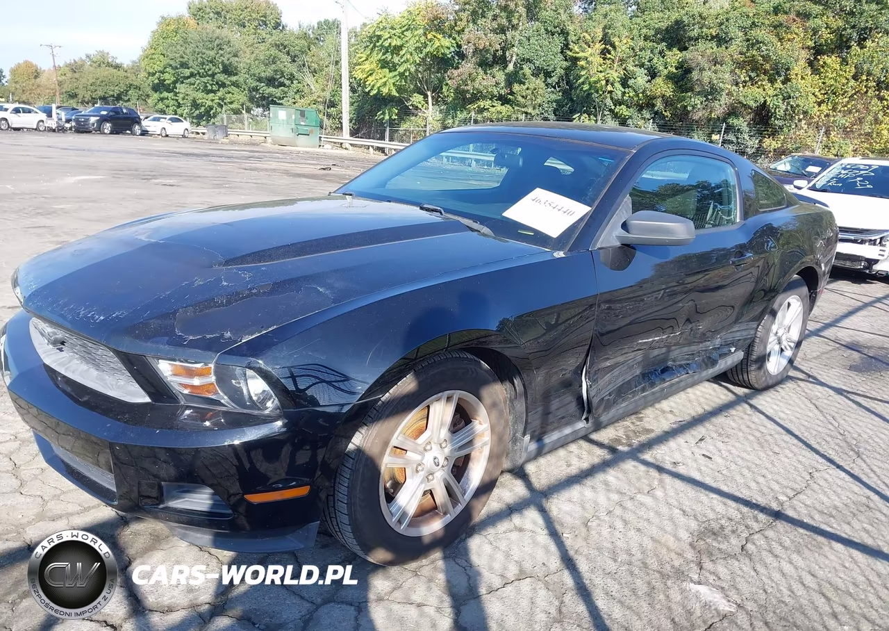 2011 Ford Mustang V6 VIN:1ZVBP8AM6B5134972 - 6